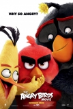 angry_birds_ver2_xlg